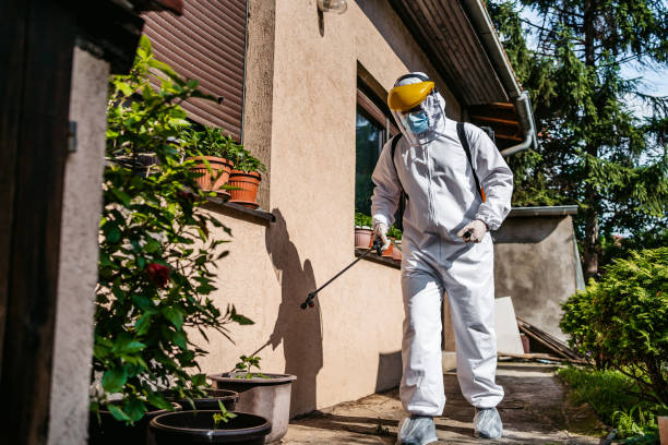 Best Wasp Removal Services  in Wimauma, FL