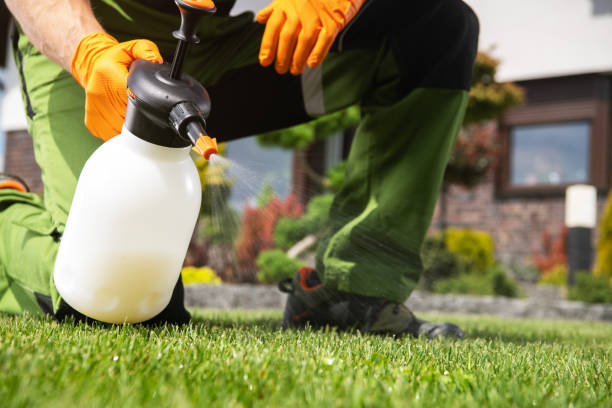 Best Best Pest Control Companies  in Wimauma, FL